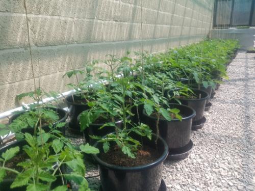 St Mary's Church, Axminster