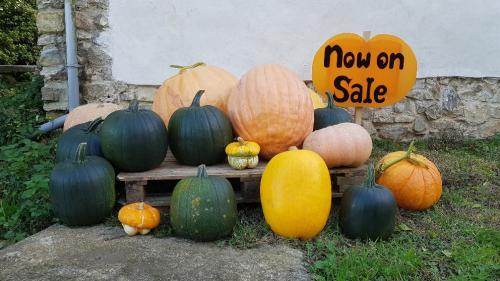 St Mary's Church, Axminster