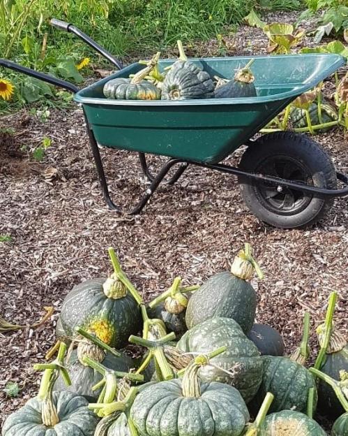 St Mary's Church, Axminster