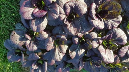 St Mary's Church, Axminster