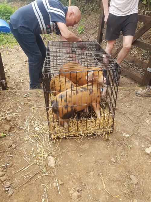 St Mary's Church, Axminster