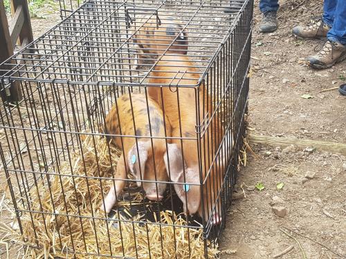 St Mary's Church, Axminster