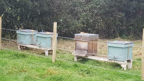 St Mary's Church, Axminster