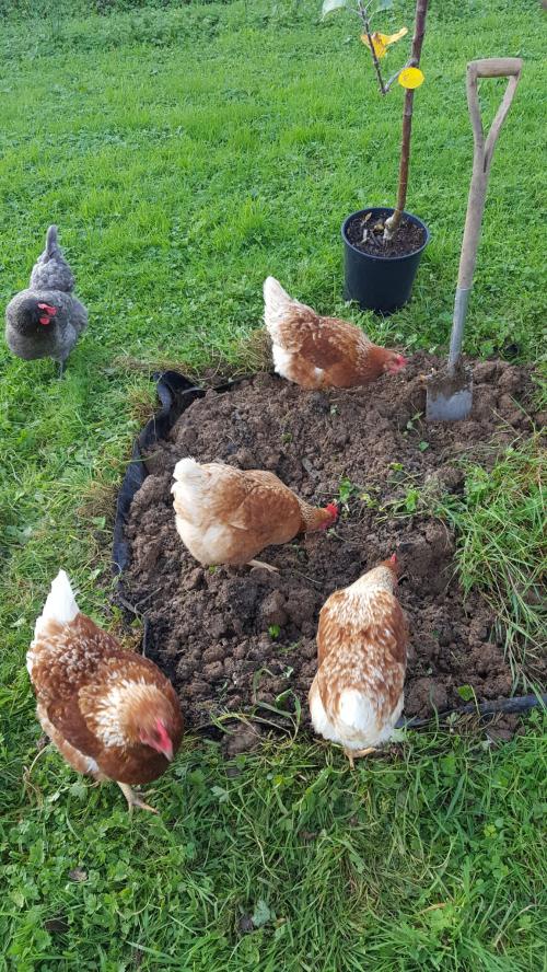 St Mary's Church, Axminster